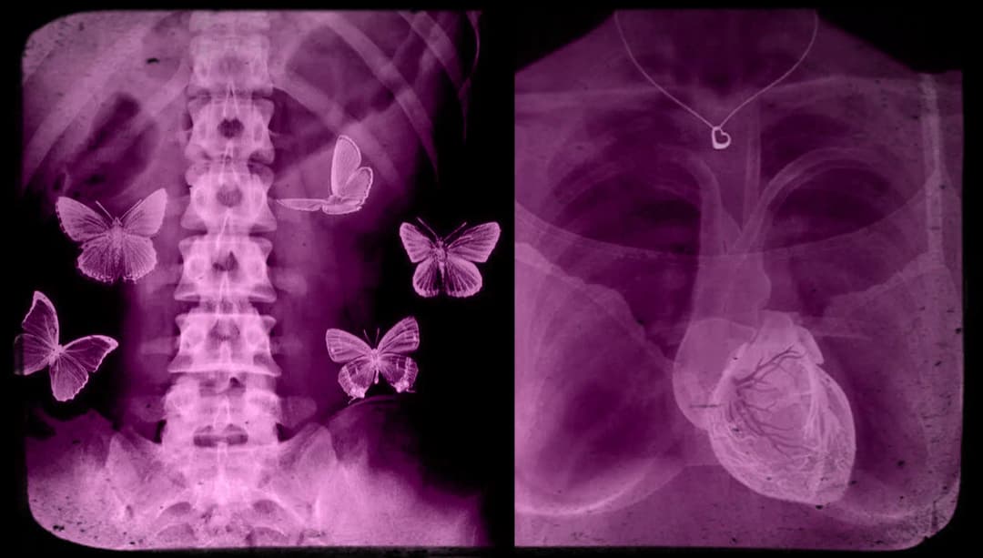 Introducción a Saber Sexual